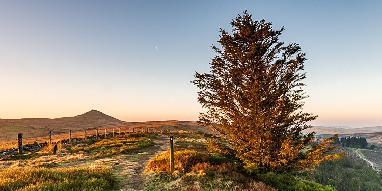 Path to Shutlingsloe (3) - Macclesfield Countryside