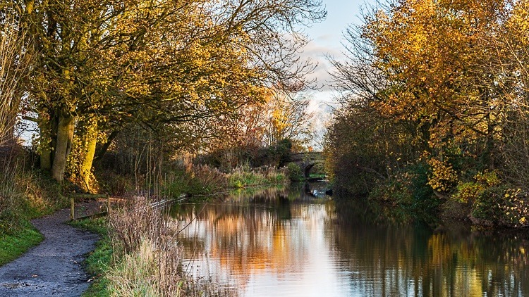 Bridge 25 (Whiteley Green), Macclesfield Canal (2) - Bridges 21 to 30