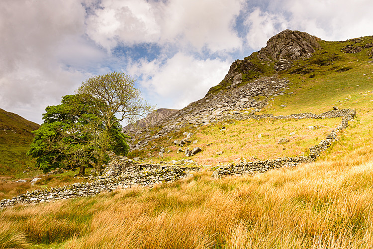 View from Llyn Dywarchen - Wales