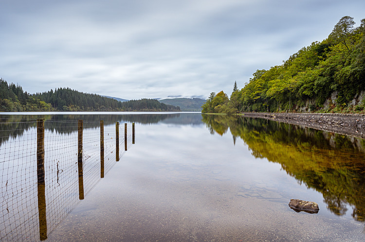 Fence in Loch Ard (2) - Loch Lomond and The Trossachs