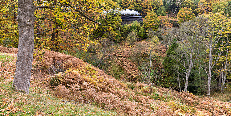 Steam engine at Goathland - Around Whitby