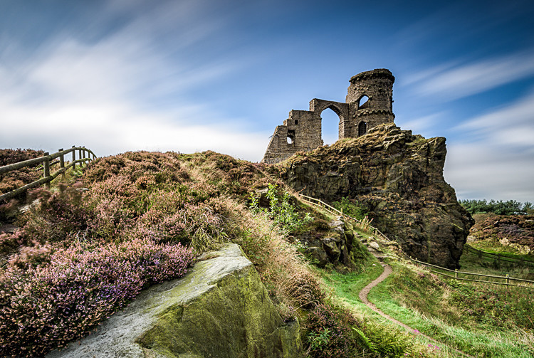 Heather on Mow Cop, Cheshire (1) - Other Cheshire Locations