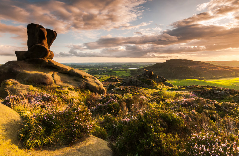 Staffordshire landscape