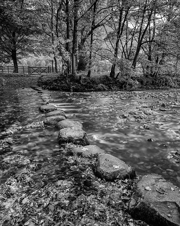 Stepping Stones, Rosthwaite - The Lake District