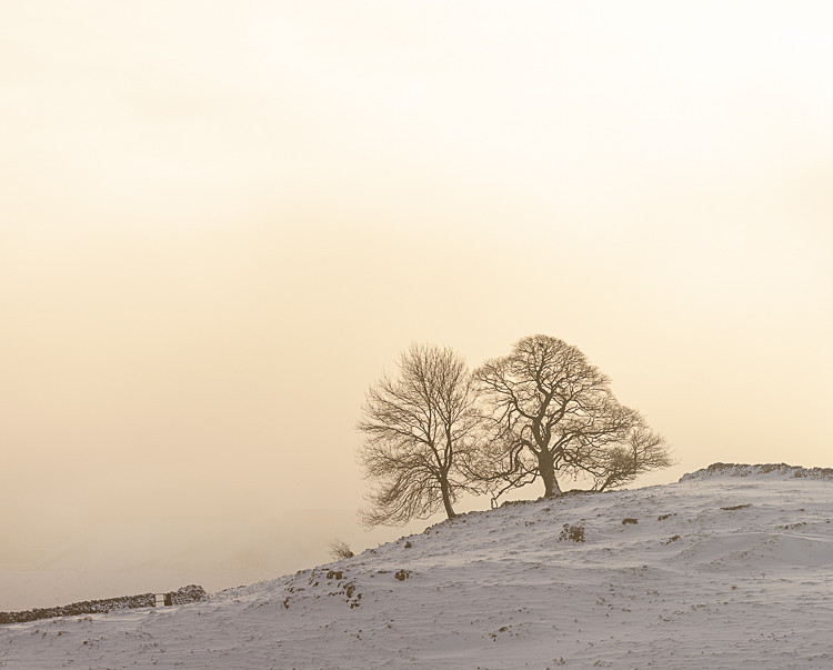 Two Trees, Harpur Hill (2) - Other locations