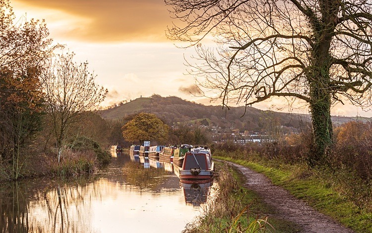 Between Bridges 25 and 26, Macclesfield Canal (4) - Bridges 21 to 30