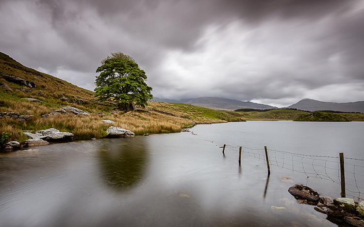 Llyn Dywarchen - Wales