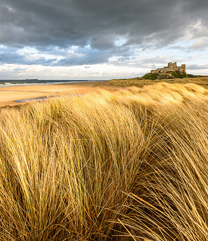Sand Dunes at Bamburgh (2) - Northumberland