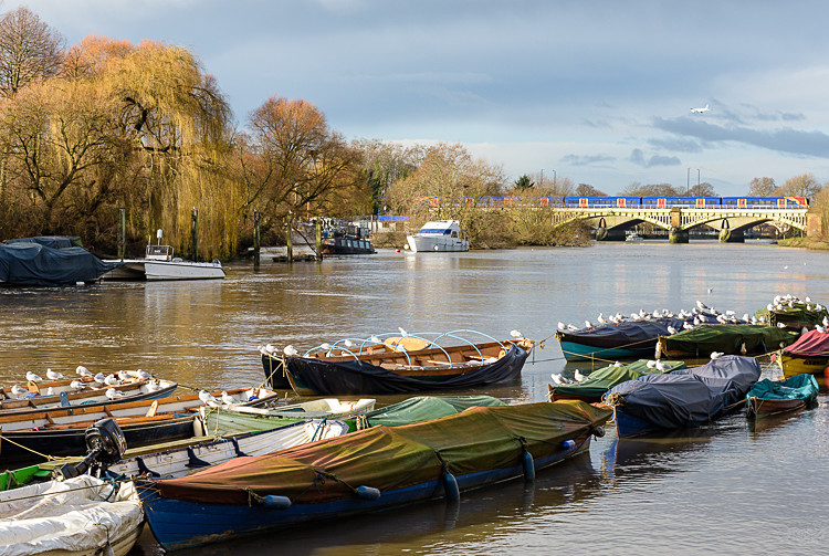 Boats on the Thames at Richmond (3) - Other locations