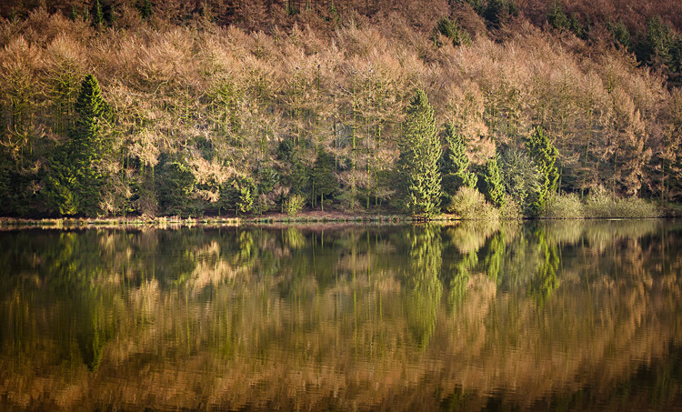 Reflections in Trentabank Reservoir (1) - The Langley Reservoirs