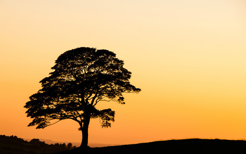 Staffordshire landscape