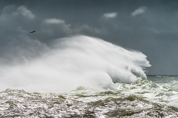 Racing waves, Newhaven - Sussex
