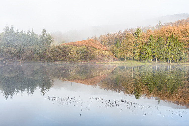 Misty reflections on Trentabank (2) - The Langley Reservoirs