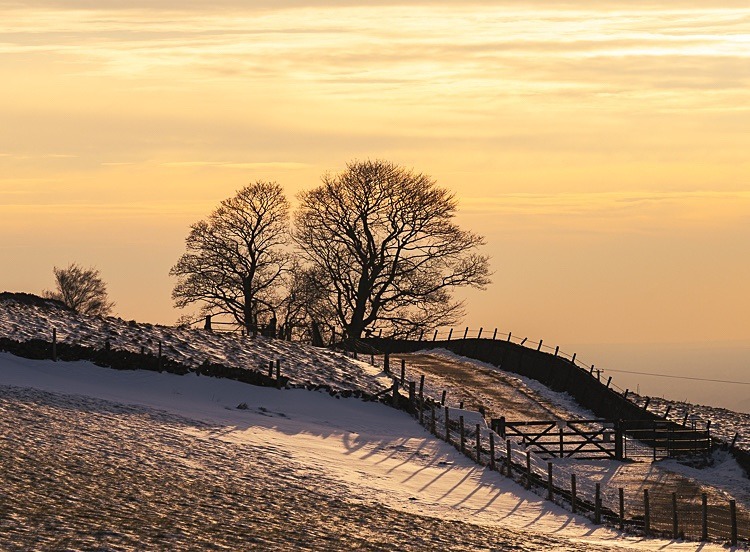 Path to Tegg's Nose - On Tegg's Nose