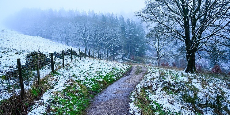 macclesfield forest cycling