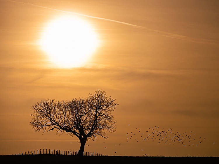 Waiting for the sun to set, Gawsworth - Other Cheshire Locations