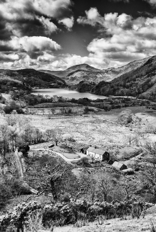 Gwynedd: Llyn Gwynant - Wales