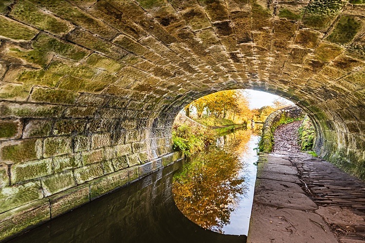 Bridge 29 (Clarke Lane), Macclesfield Canal (10) - Bridges 21 to 30