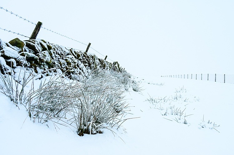 Snow drift, Wildboarclough (1) - Macclesfield in Winter