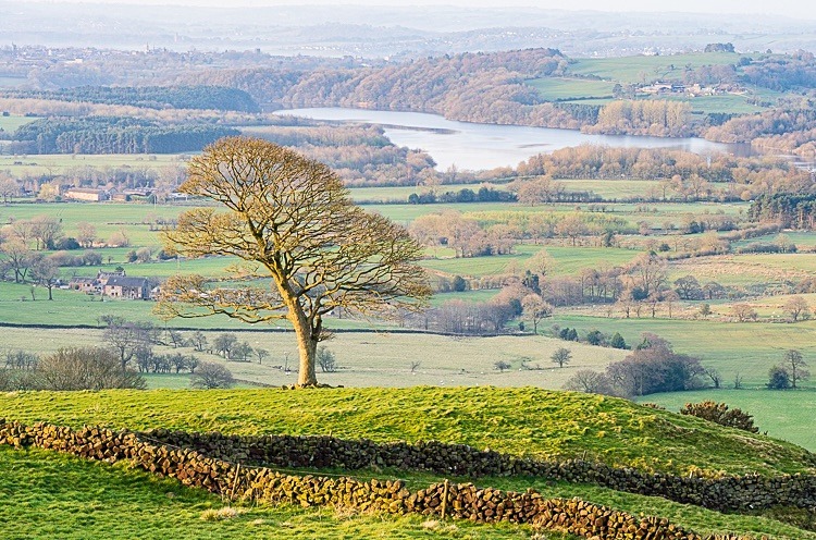 View to Tittesworth from The Roaches (2) - The Roaches
