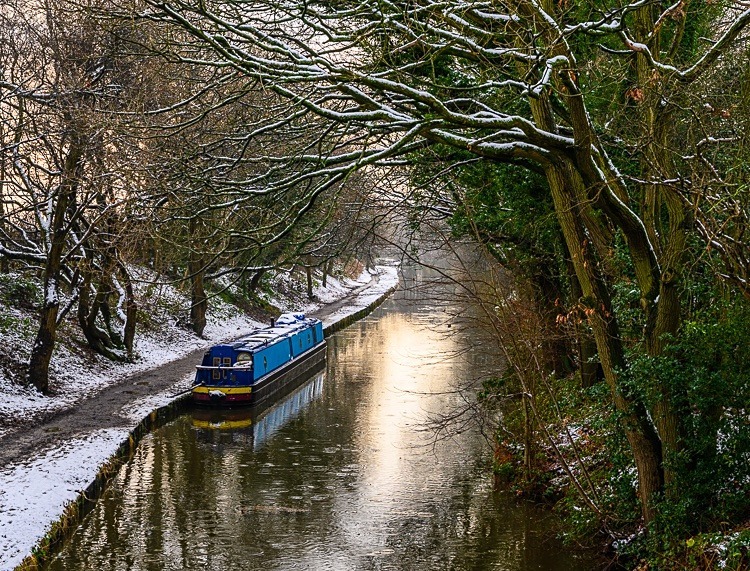 Between Bridges 29 and 30, Macclesfield Canal (6) - Bridges 21 to 30