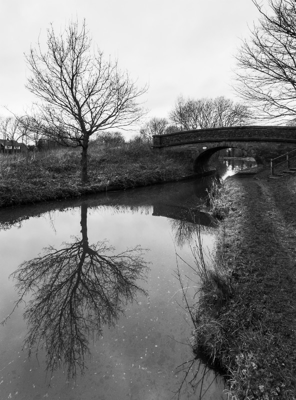 Bridge 33 on the Macclesfield Canal by photographer Mark Helliwell