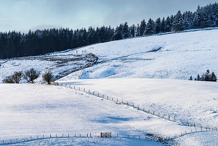 Three Gates, Wildboarclough - Macclesfield in Winter