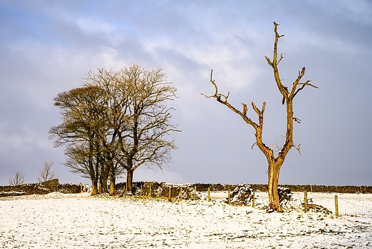Winter at Tegg's Nose (2) - Other Cheshire Locations