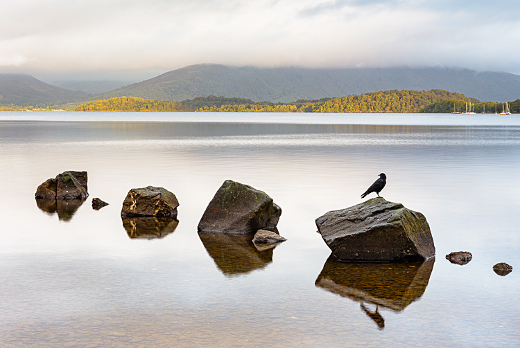 Milarrochy Bay, Loch Lomond (4) - Loch Lomond and The Trossachs