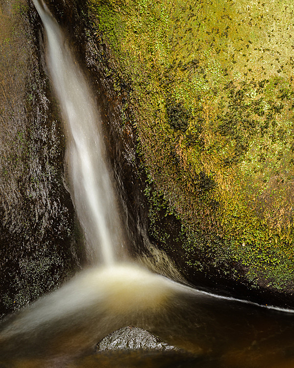 Burbage Brook, Yarncliffe Wood - Other locations