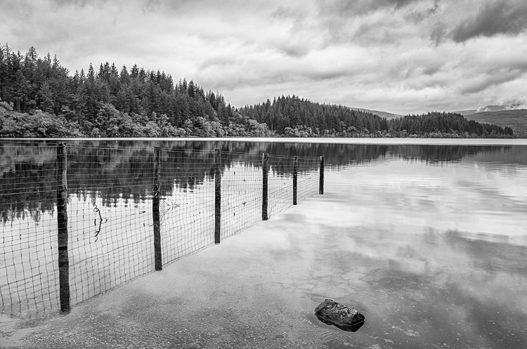 Fence in Loch Ard (1) - Loch Lomond and The Trossachs