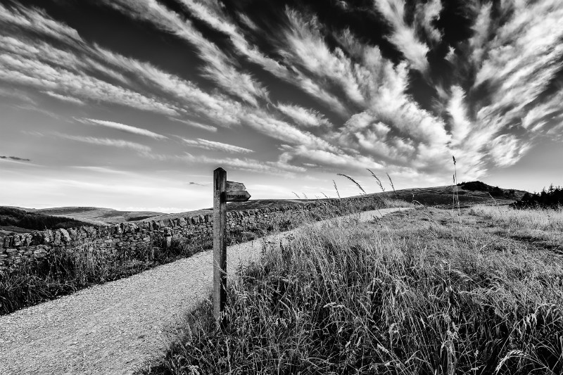 To Shutlingsloe or Trentabank - Shutlingsloe
