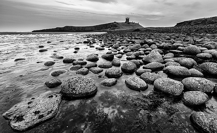 Boulders at Dunstanburgh (4) - Northumberland