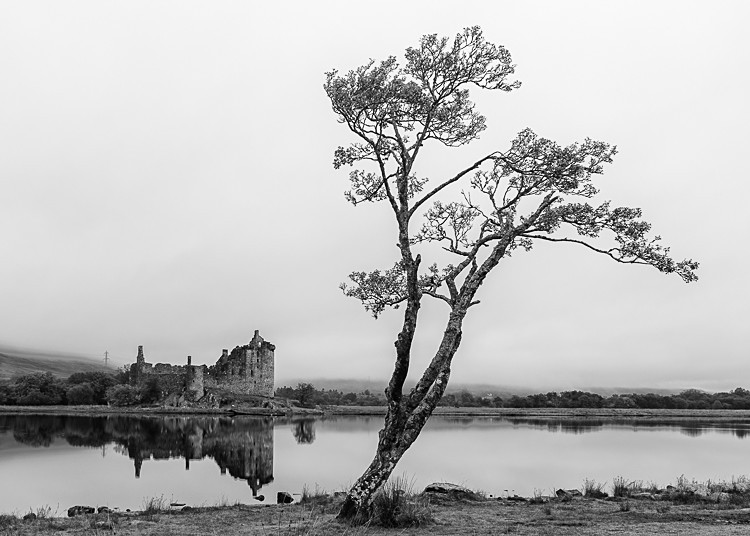Tree and Kilchurn Castle (1) - Kilchurn Castle