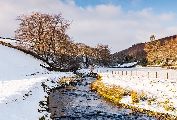 Clough Brook in Wildboarclough - Macclesfield in Winter