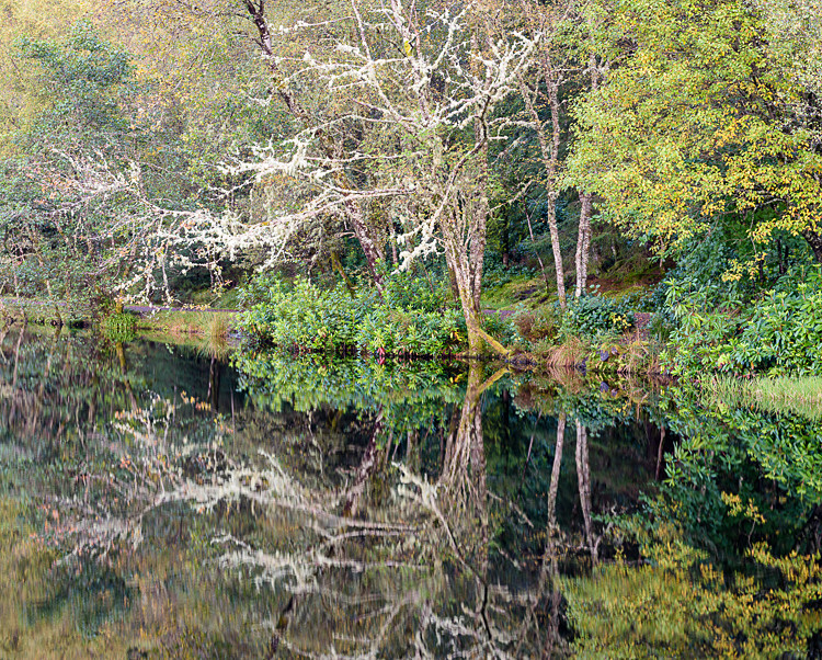 Glencoe Lochan (3) - Glencoe