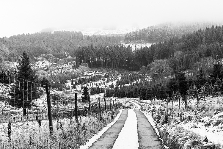 Path to Macclesfield Forest - Macclesfield in Winter