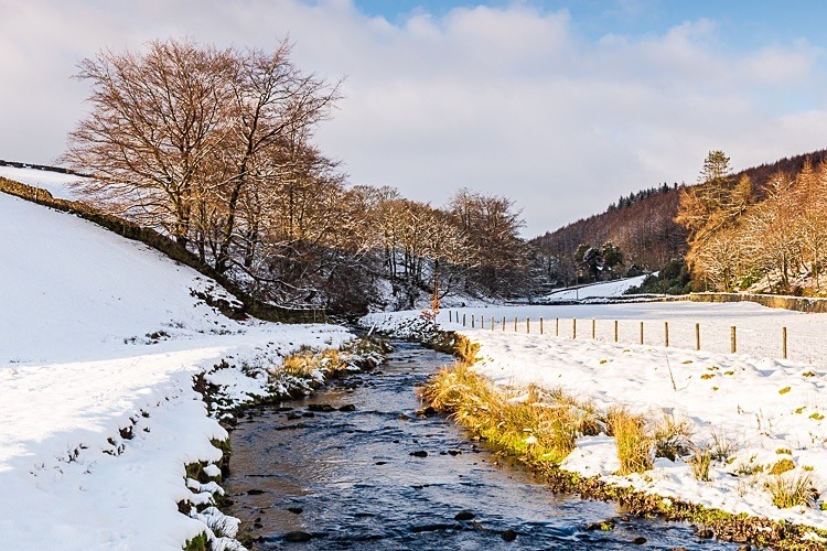 Clough Brook, Wildboarclough - Around Macclesfield Forest
