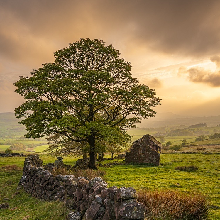 Barn at Roach End (4) - The Roaches