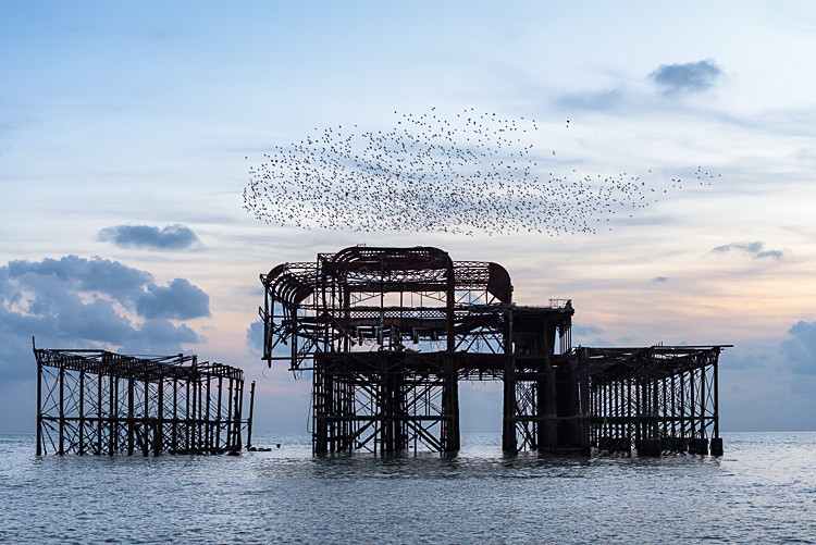 Starling murmuration, West Pier, Brighton (2) - Sussex