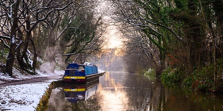 Between Bridges 29 and 30, Macclesfield Canal (7) - Bridges 21 to 30