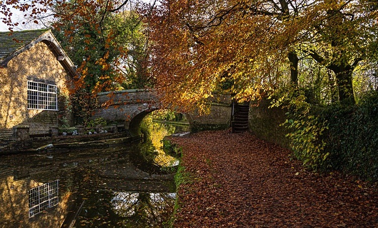 Bridge 28 (Green's), Macclesfield Canal (5) - Bridges 21 to 30