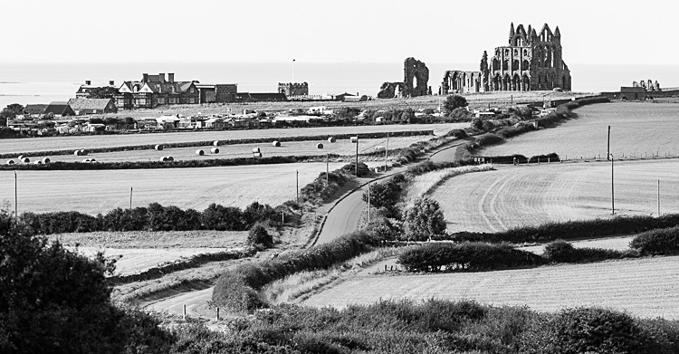 Whitby Abbey (2) - Around Whitby