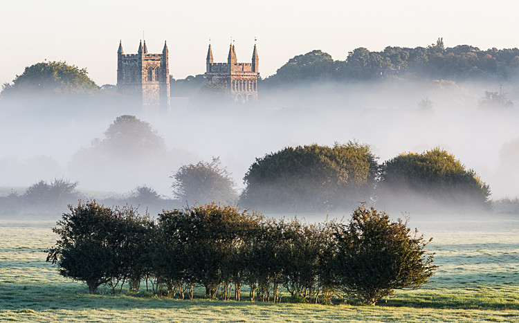 Wimborne Minster (2) - Dorset