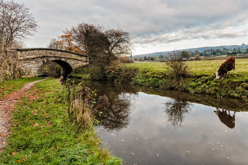 Bridge 87 (Kent Green Skew), Macclesfield Canal (2) - Bridges 81 to 90