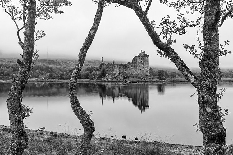 Tree and Kilchurn Castle (2) - Kilchurn Castle