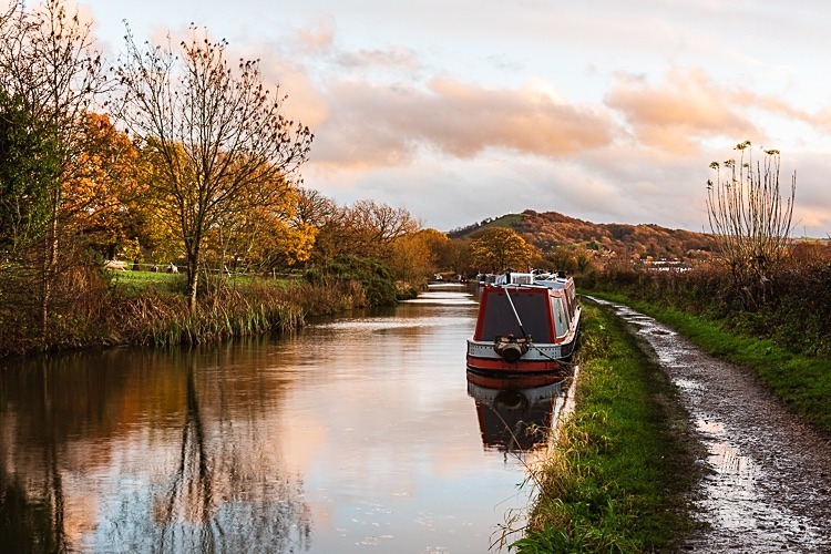 Between Bridges 25 and 26, Macclesfield Canal (5) - Bridges 21 to 30