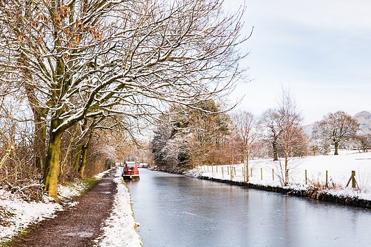 Macclesfield Canal between Bridges 28 and 29 (2) - Bridges 21 to 30