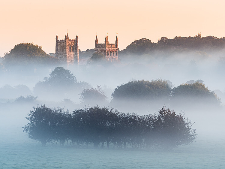 Wimborne Minster (3) - Dorset