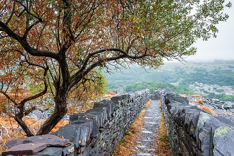 Path from Dinorwic to Llanberis (1) - Wales